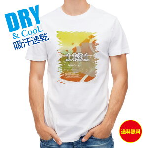 ނ TVc AEghA 1091(COC) ނ  A[ T Vc Y  S  t  H Ci[  ʔ 傫TCY  |GXe 