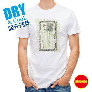 ނ TVc AEghA AOOCZX(V) ނ  A[ T Vc Y  S  t  H Ci[  ʔ 傫TCY  |GXe 