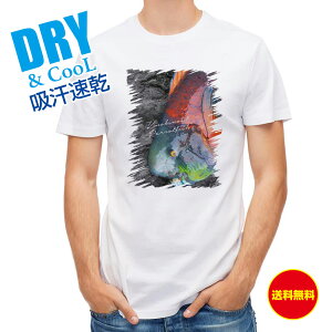 ނ TVc AEghA AIu_C ނ  A[ T Vc Y  S  t  H Ci[  ʔ 傫TCY  |GXe 