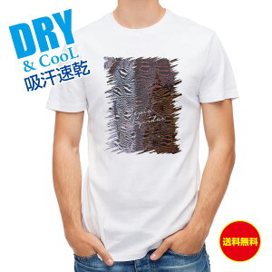 ނ TVc AEghA J~iCJ̃LX}[N ނ  A[ T Vc Y  S  t  H Ci[  ʔ 傫TCY  |GXe 