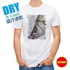 釣り Tシャツ アウトドア ヒラスズキの目 釣り 魚 ルアー T シャツ メンズ 半袖 ロゴ 文字 春 夏 秋 インナー 安い 面白い 大きいサイズ 洗濯 ポリエステル 送料無料