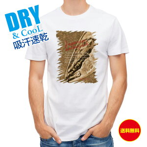 ނ TVc AEghA Wpj[YAo[WbN u ނ  A[ T Vc Y  S  t  H Ci[  ʔ 傫TCY  |GXe 