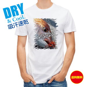 ނ TVc AEghA ^CoŃ}_C! ނ  A[ T Vc Y  S  t  H Ci[  ʔ 傫TCY  |GXe 