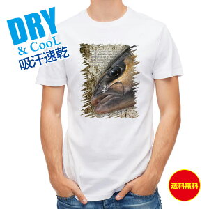 ނ TVc AEghA Jp` O[^[Ao[WbN ނ  A[ T Vc Y  S  t  H Ci[  ʔ 傫TCY  |GXe 