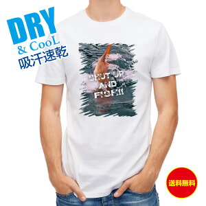 ނ TVc AEghA |̂ŖقĂ! ނ  A[ T Vc Y  S  t  H Ci[  ʔ 傫TCY  |GXe 