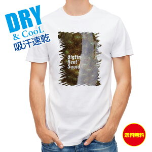 ނ TVc AEghA AICJ ނ  A[ T Vc Y  S  t  H Ci[  ʔ 傫TCY  |GXe 