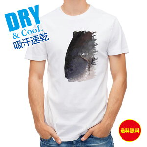 ނ TVc AEghA Wi(O) |REfUC ނ  A[ T Vc Y  S  t  H Ci[  ʔ 傫TCY  |GXe 