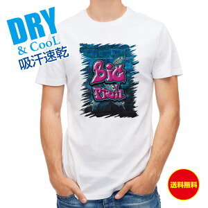 ނ TVc AEghA BIG FISH Ǘ ނ  A[ T Vc Y  S  t  H Ci[  ʔ 傫TCY  |GXe 