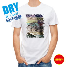 釣り Tシャツ アウトドア チヌ(クロダイ) 12カラーズ 釣り 魚 ルアー T シャツ メンズ 半袖 ロゴ 文字 春 夏 秋 インナー 安い 面白い 大きいサイズ 洗濯 ポリエステル 送料無料