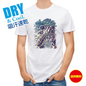 ނ TVc AEghA ubNoX̃oCg yCg u[ ނ  A[ T Vc Y  S  t  H Ci[  ʔ 傫TCY  |GXe 