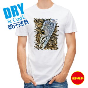 ނ TVc AEghA J}X̖ ނ  A[ T Vc Y  S  t  H Ci[  ʔ 傫TCY  |GXe 