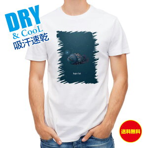 ނ TVc AEghA ARE anglerfish ނ  A[ T Vc Y  S  t  H Ci[  ʔ 傫TCY  |GXe 