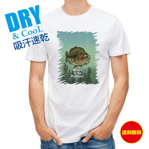 ނ TVc AEghA 肠? ނ  A[ T Vc Y  S  t  H Ci[  ʔ 傫TCY  |GXe 