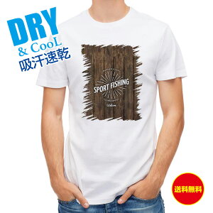 ނ TVc AEghA g[igGu ނ  A[ T Vc Y  S  t  H Ci[  ʔ 傫TCY  |GXe 