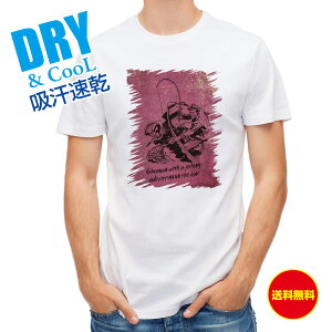 ނ TVc AEghA fBȌu! ނ  A[ T Vc Y  S  t  H Ci[  ʔ 傫TCY  |GXe 