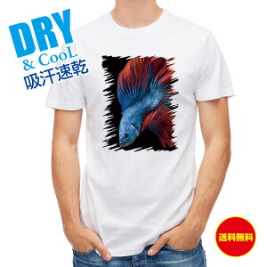 ނ TVc AEghA gfBViEx^ u[ ނ  A[ Mы T Vc Y  S  t  H Ci[  ʔ 傫TCY  |GXe 