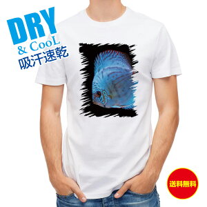 ނ TVc AEghA fBXJX u[ ނ  A[ Mы T Vc Y  S  t  H Ci[  ʔ 傫TCY  |GXe 