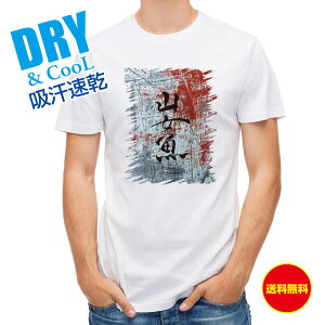 ނ TVc AEghA R ނ  A[ T Vc Y  S  t  H Ci[  ʔ 傫TCY  |GXe 