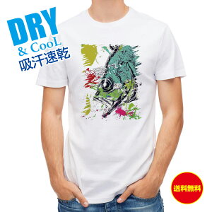 ނ TVc AEghA o yLyCg ނ  A[ T Vc Y  S  t  H Ci[  ʔ 傫TCY  |GXe 