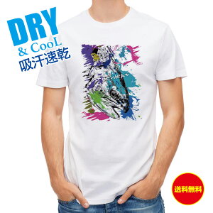 ނ TVc AEghA jW}X(X`[wbh) yLyCg ނ  A[ T Vc Y  S  t  H Ci[  ʔ 傫TCY  |GXe 