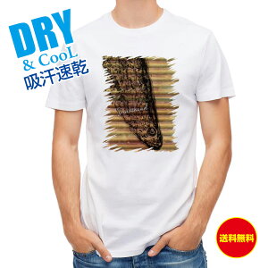 ނ TVc AEghA CM SK ނ  A[ T Vc Y  S  t  H Ci[  ʔ 傫TCY  |GXe 