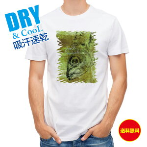 ނ TVc AEghA }AW SK ނ  A[ T Vc Y  S  t  H Ci[  ʔ 傫TCY  |GXe 