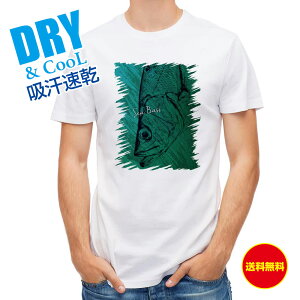 ނ TVc AEghA qXYL SK ނ  A[ T Vc Y  S  t  H Ci[  ʔ 傫TCY  |GXe 