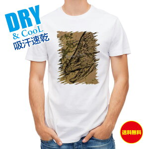 ނ TVc AEghA uEgEg SK ނ  A[ T Vc Y  S  t  H Ci[  ʔ 傫TCY  |GXe 