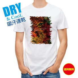 楽天市場 Tシャツ アオリイカの通販