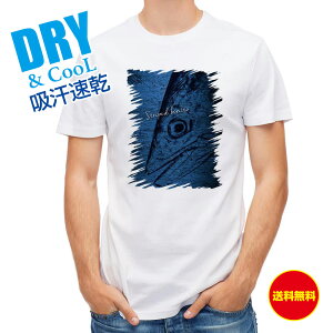 ނ TVc AEghA nKcI SK ނ  A[ T Vc Y  S  t  H Ci[  ʔ 傫TCY  |GXe 