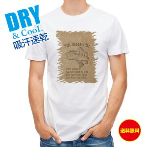 ނ TVc AEghA ދXɍs߂̑R ނ  A[ T Vc Y  S  t  H Ci[  ʔ 傫TCY  |GXe 