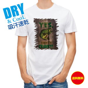 ނ TVc AEghA NL[EoX  ނ  A[ T Vc Y  S  t  H Ci[  ʔ 傫TCY  |GXe 