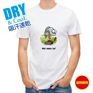 ނ TVc AEghA ǂ΂? ނ  A[ T Vc Y  S  t  H Ci[  ʔ 傫TCY  |GXe 