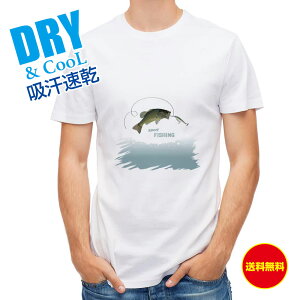 ނ TVc AEghA X|[ctBbVO ނ  A[ T Vc Y  S  t  H Ci[  ʔ 傫TCY  |GXe 