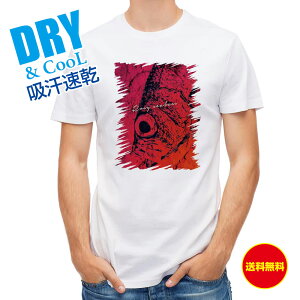 ނ TVc AEghA AJc SK ނ  A[ T Vc Y  S  t  H Ci[  ʔ 傫TCY  |GXe 