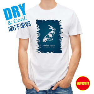 ނ TVc AEghA ь(AWA J[v) u[ ނ  A[ T Vc Y  S  t  H Ci[  ʔ 傫TCY  |GXe 