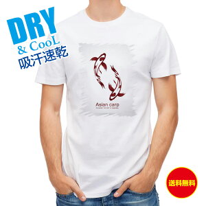 ނ TVc AEghA ь g Koi Fish zCg ނ  A[ T Vc Y  S  t  H Ci[  ʔ 傫TCY  |GXe 