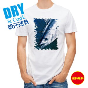 ނ TVc AEghA JcI ނ  A[ T Vc Y  S  t  H Ci[  ʔ 傫TCY  |GXe 