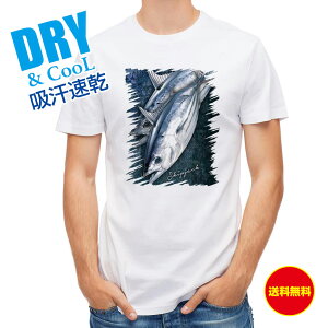 ނ TVc AEghA JcI o[W2 ނ  A[ T Vc Y  S  t  H Ci[  ʔ 傫TCY  |GXe 