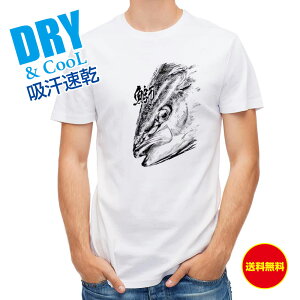 ނ TVc AEghA (u) nG  ނ  A[ T Vc Y  S  t  H Ci[  ʔ 傫TCY  |GXe 