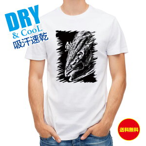 ނ TVc AEghA (u) nG  ނ  A[ T Vc Y  S  t  H Ci[  ʔ 傫TCY  |GXe 