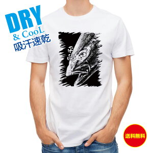 ނ TVc AEghA (q}T)nG  ނ  A[ T Vc Y  S  t  H Ci[  ʔ 傫TCY  |GXe 