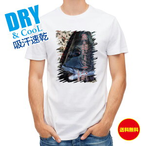 ނ TVc AEghA ƘbłĈlO Ócg ނ  A[ T Vc Y  S  t  H Ci[  ʔ 傫TCY  |GXe 