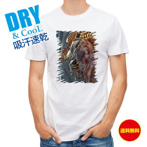 ނ TVc AEghA JTS̃nhfBO ނ  A[ T Vc Y  S  t  H Ci[  ʔ 傫TCY  |GXe 