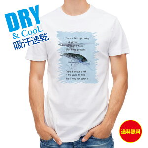 ނ TVc AEghA @͂ǂ̏ꏊɂBސj𐂂ďɗpӂB ނ  A[ T Vc Y  S  t  H Ci[  ʔ 傫TCY  |GX