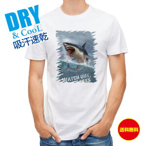 ނ TVc AEghA TuW[Yv(JAWS) ނ  A[ T Vc Y  S  t  H Ci[  ʔ 傫TCY  |GXe 