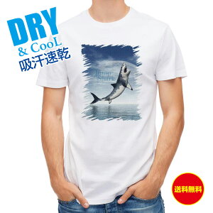 ނ TVc AEghA TuW[Y2v(JAWS2) jump Shark ނ  A[ T Vc Y  S  t  H Ci[  ʔ 傫TCY  |GXe 