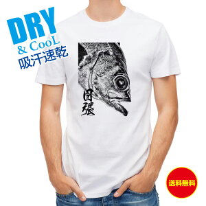 ނ TVc AEghA o nG ނ  A[ T Vc Y  S  t  H Ci[  ʔ 傫TCY  |GXe 