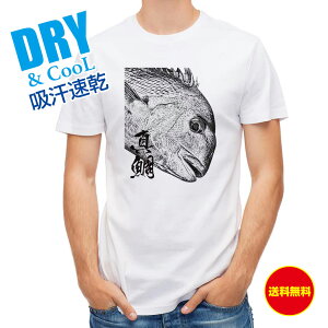 ނ TVc AEghA }_C nG ނ  A[ T Vc Y  S  t  H Ci[  ʔ 傫TCY  |GXe 