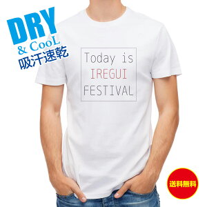 ނ TVc AEghA This is IREGUI FESTIVAL ނ  A[ T Vc Y  S  t  H Ci[  ʔ 傫TCY  |GXe 